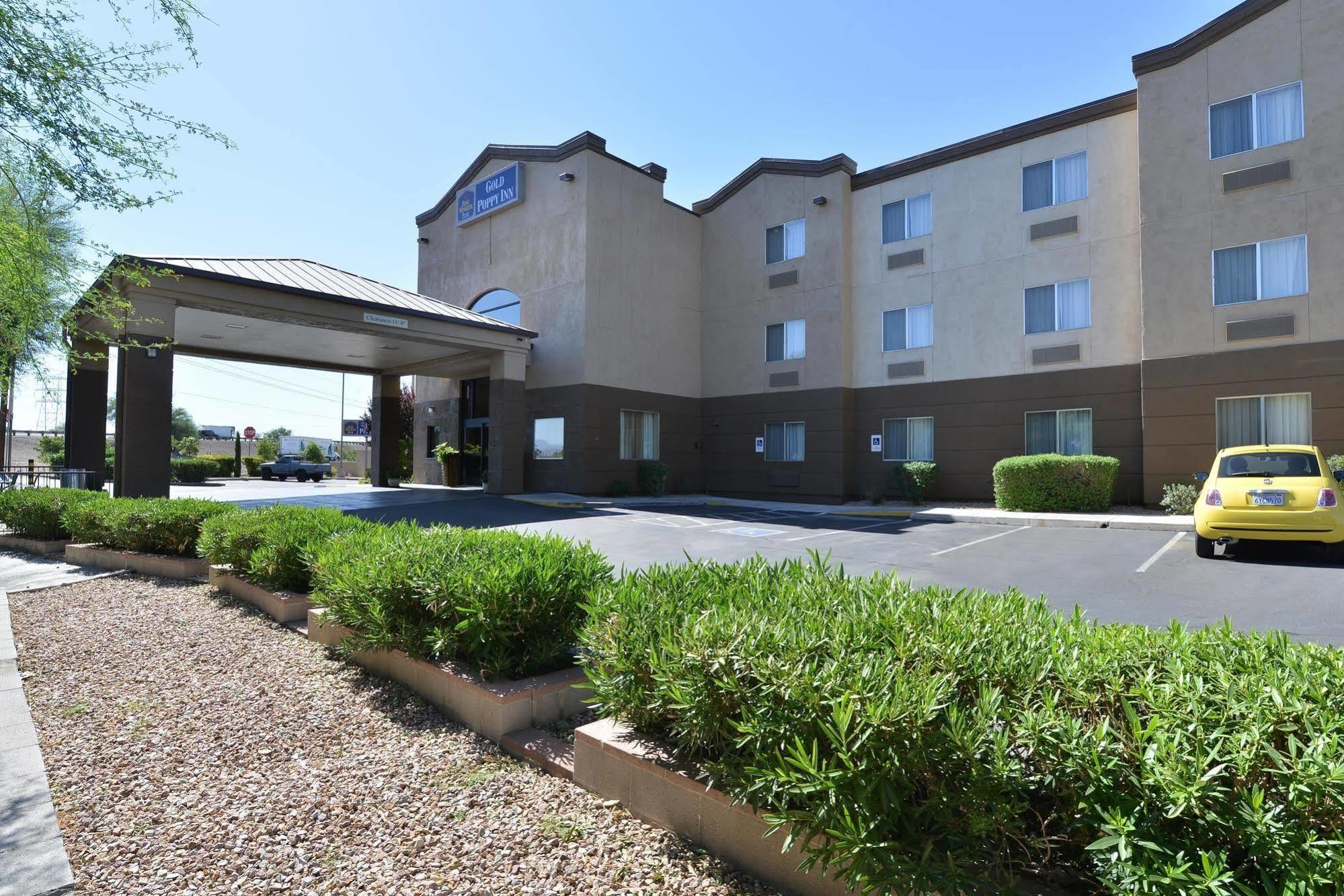 Best Western Gold Poppy Inn Cortaro Exterior foto