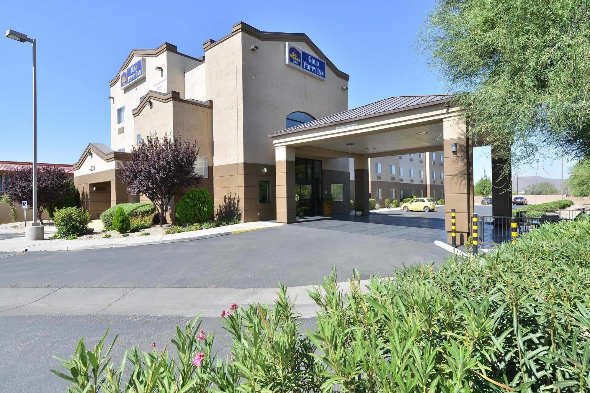 Best Western Gold Poppy Inn Cortaro Exterior foto