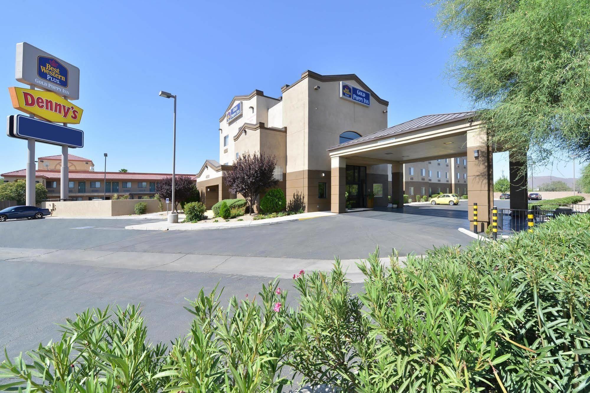 Best Western Gold Poppy Inn Cortaro Exterior foto